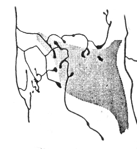 Desenho de Lorente de No 1938