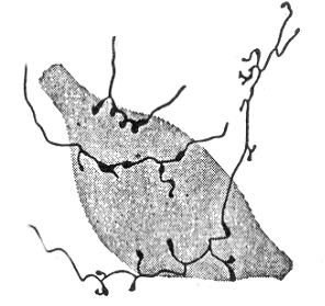 Desenho de Lorente de No 1938