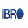 Grants & Training opportunities, IBRO 2023 World Congress and more – IBRO Highlights | January 2023