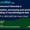 NeuroMat offers 1 Postdoctoral Fellowship