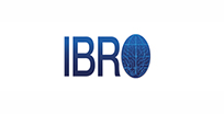 Grants & Training opportunities, IBRO 2023 World Congress and more – IBRO Highlights | January 2023