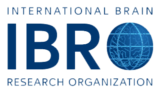 Convite para participar da 2a Fase do Projeto “Gender Balance in the Latin American Neuroscience Community”
