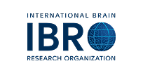 ibro
