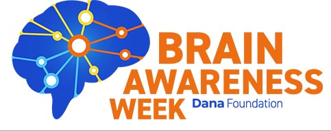 Apply for a Brain Awareness Week Grant